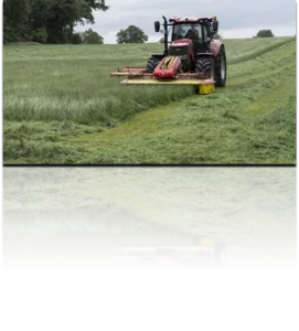 W300